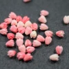 Double-color pink