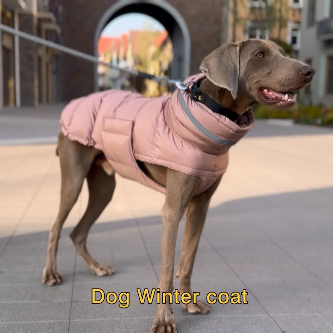 Wholesale Reflective Outdoor Logo Greyhound Apparel Jacket Waterproof