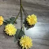 2#  3 teste di crisantemo da ping pong giallo