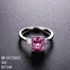 Rosa 2