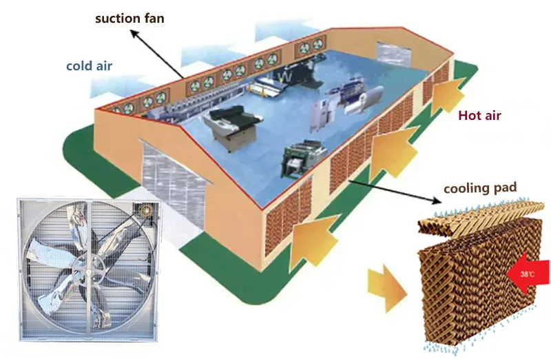 various exhaust fan