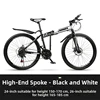 High-end model - black and white
