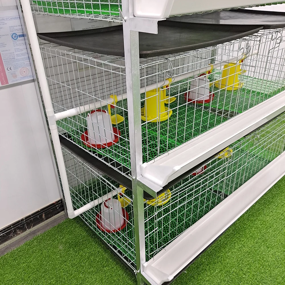 Automatic Chicken Breeding Equipment  Galvanized Vertical Chicken Cage Manufacturers Direct Spot Supply