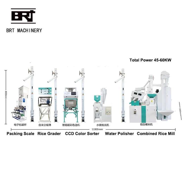 1 Ton Per Hour Mini Rice Mill with Polisher Ricemilling Paddy Rice Mill Machine