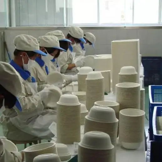 Eco-Friendly Biodegradable Rice Straw Tableware Maker Equipment Core Including Pump Motor Production Machine for Paper Plates