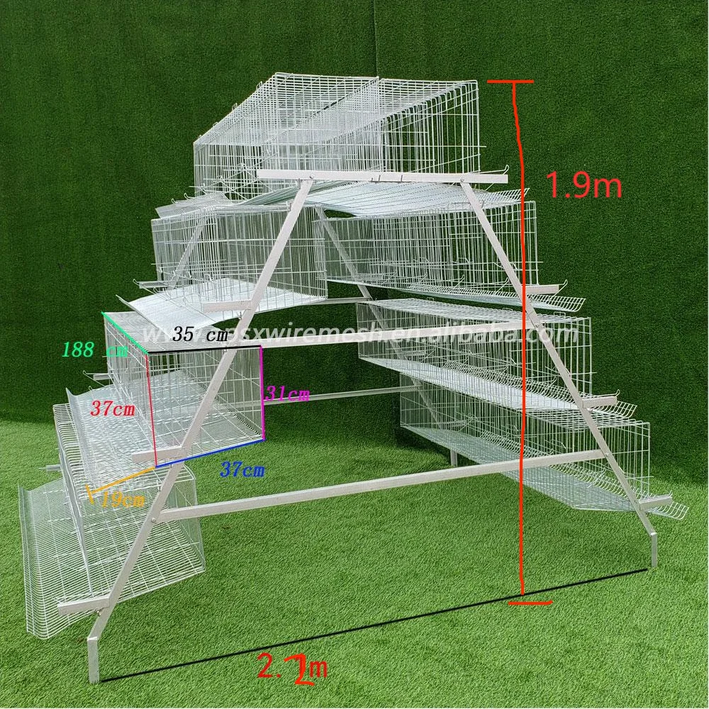 Design Modern Poultry Farm House Automatic Galvanized Battery Chicken