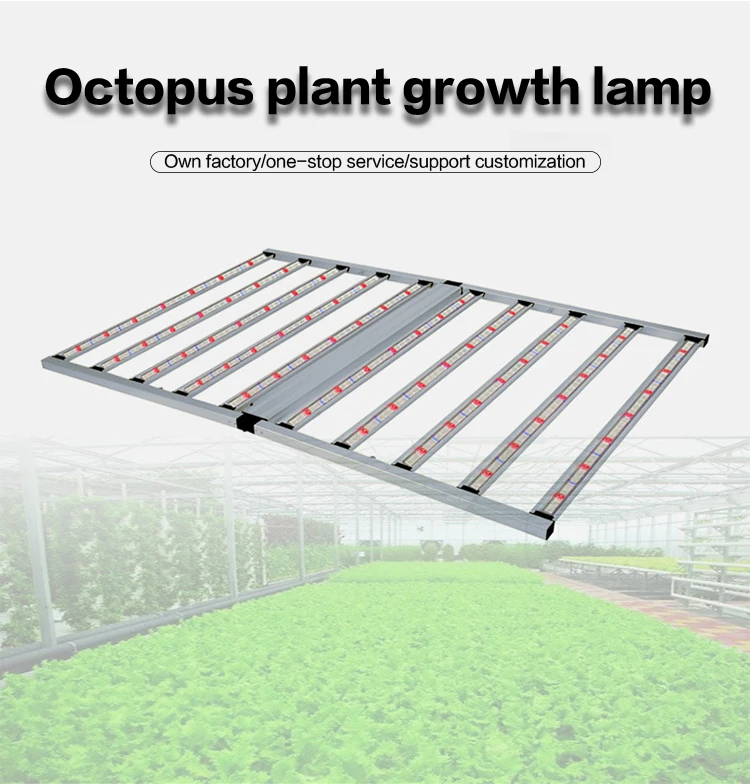 Indoor Farming Led Lights Ce Approved Ip65 1000w Foldable Full Spectrum