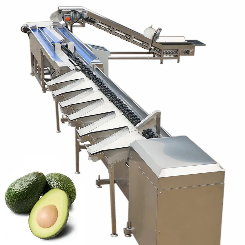 Avocado Automatic Citrus Clam Guava Chicken Bolt Candy mango Fruit Cleaning Sorting Machine