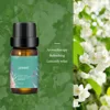 Jasmine