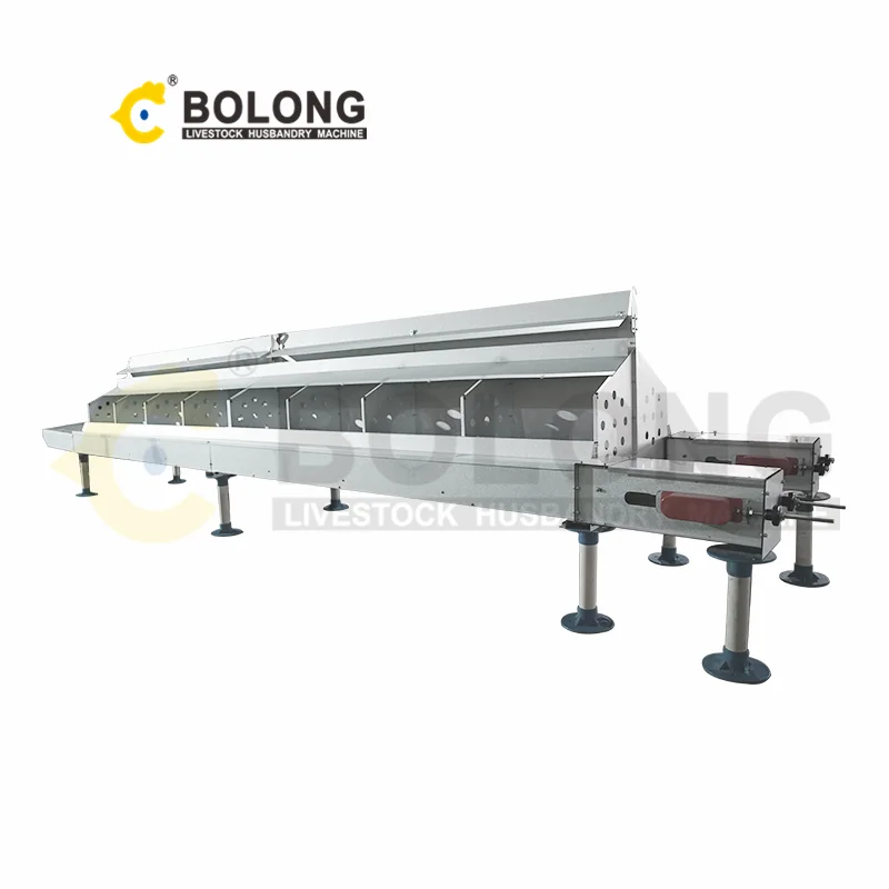 Automatic Chicken Egg Collector Roll Away Chicken Egg Collector Chicken Nesting Box with Automatic Eggs Collector