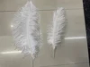25-30 cm sottili