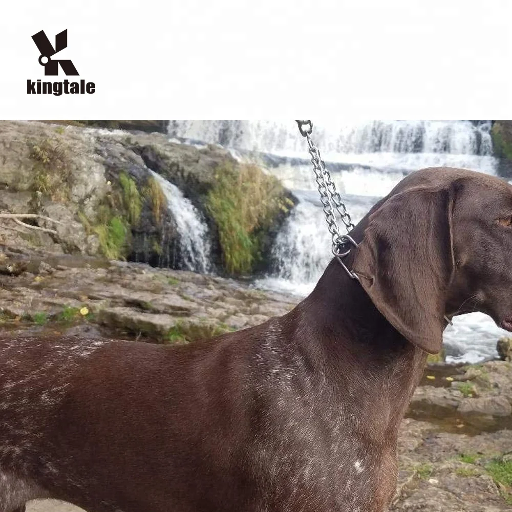 Дискретный сплошной кусок ошейник зубец обучение herm sprenger нержавеющая сталь pinch собака цепи воротник