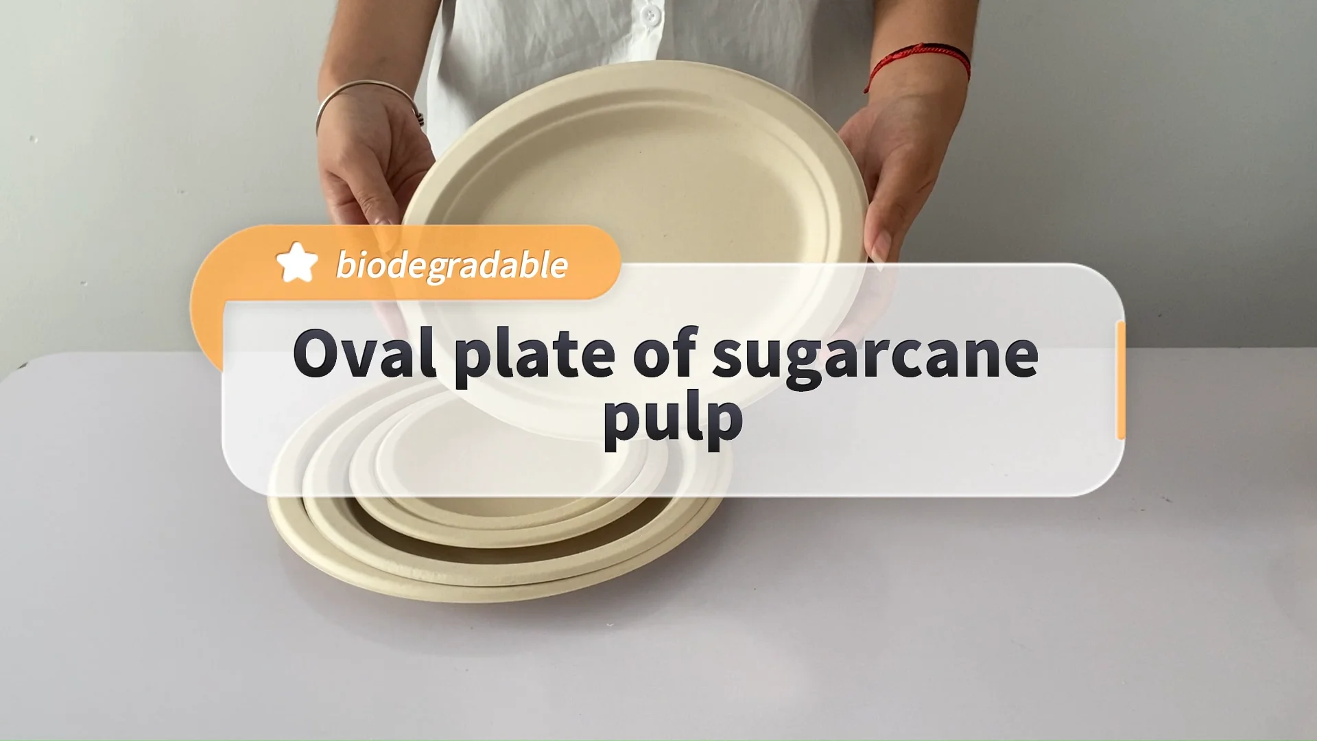 Hot Design Sugarcane Pulp Disposable Lunch Plates With Dividers Food