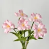 Naked Pink