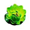 10 cm verde semiaperto