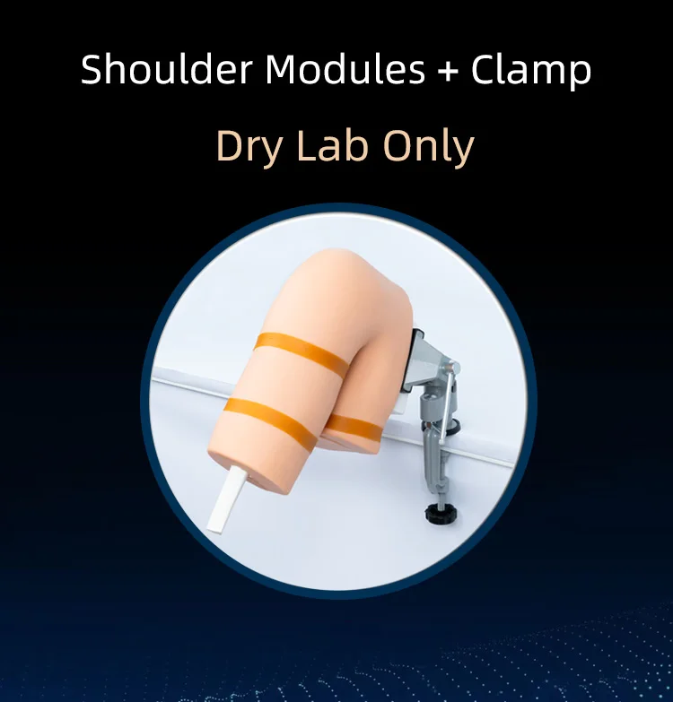 Arthroscopy Knee Joint Module Shoulder Module Arthroscopic Surgery Simulation Training Equipment Training Simulator
