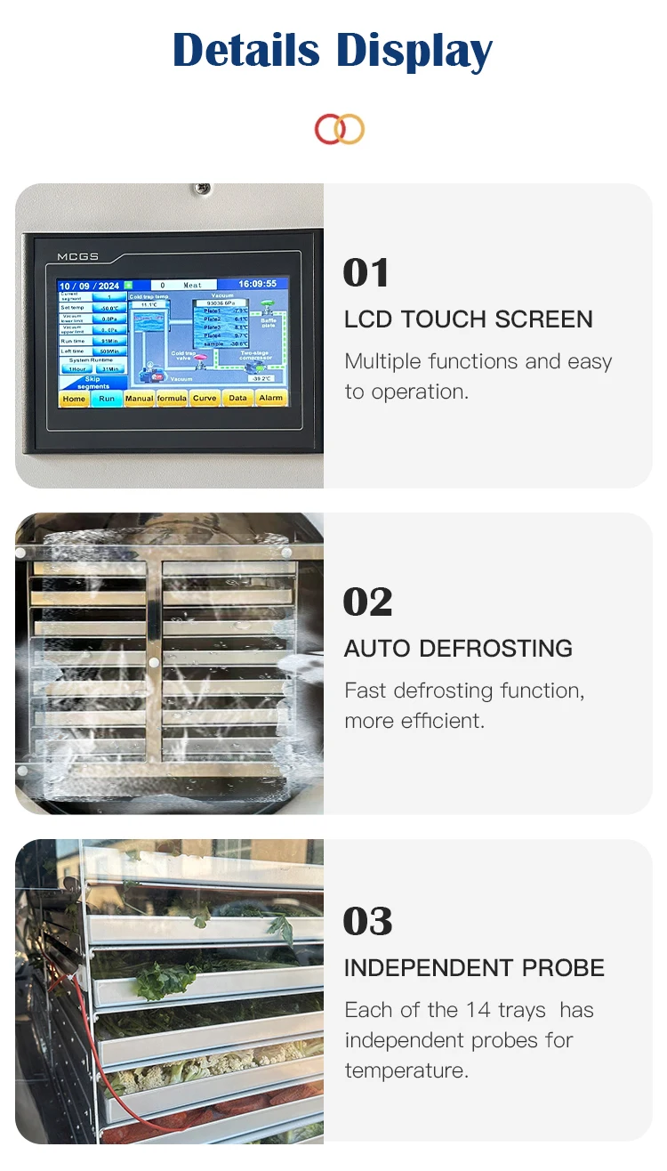 Commercial for 6500W Stainless Steel 14 Trays 4m Freeze Dryer Machine for Fruit Vegetable Food Processing 55-60kg Batch Commercial for 6500W Stainless Steel 14 Trays 4m Freeze Dryer Machine for Fruit Vegetable Food Processing 55-60kg Batch