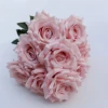 pasta de frijol rosa