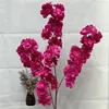 magenta