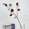 5-headed pomegranate red