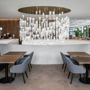 ECOJAS Villa Hotel Restaurant Hospital New Design Lighting Crystal Customized Chandelier