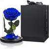 Medium-royal blue