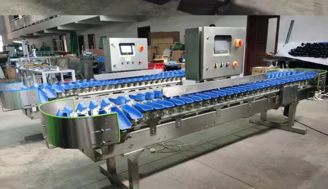 Frozen Fish Sorting Tuna Grading Machine Salmon Sorting Machine Price Tilapia Weight Sorter Machine