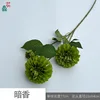 Dark Fragrance Y Green