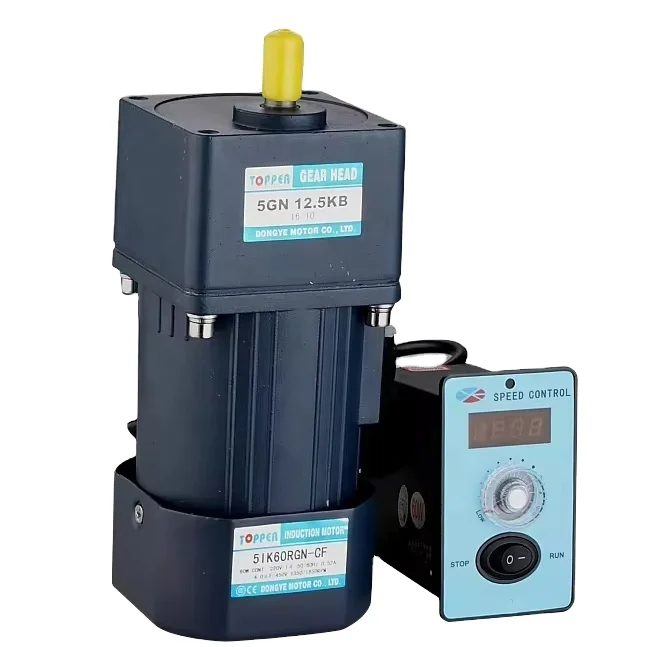 Single Phase AC gear motor gear reducer