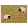 lamb