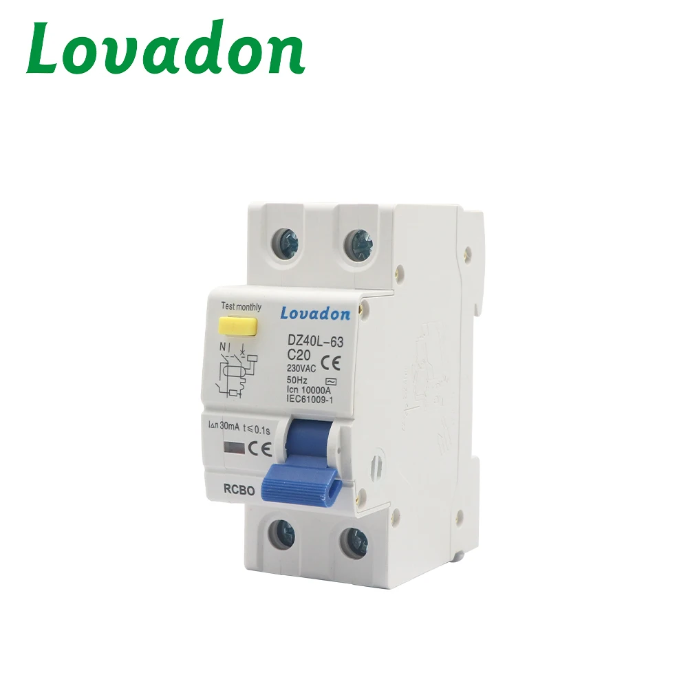 Factory Direct 10kA RCCB Residual Current Circuit Breaker 2P MCB with Overcurrent Protection LI Type RCBO