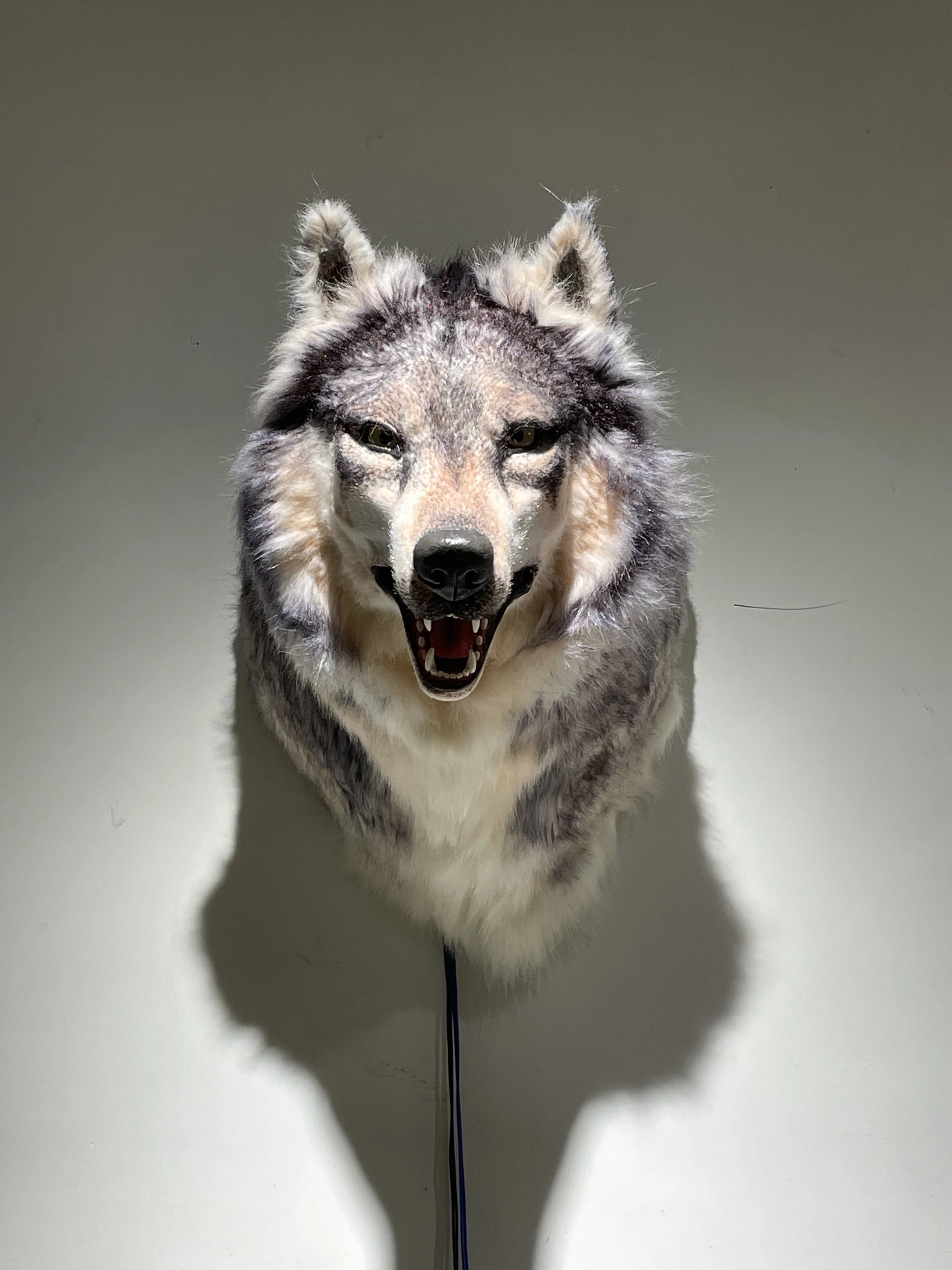 Realistic Animatronic Wolf Head - Perfect for Exhibitions