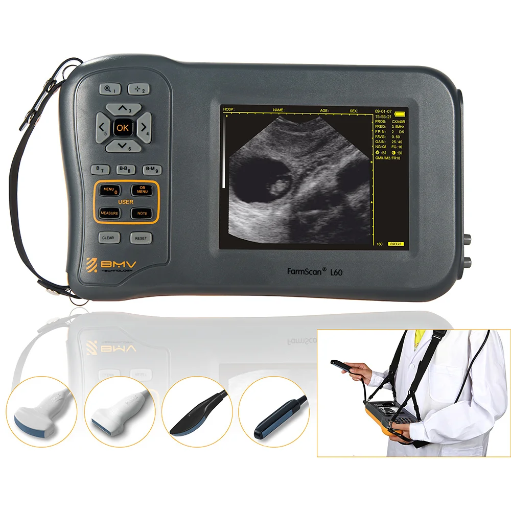 Bmv L60 Cheap Portable Ultrasound Machine For Veterinary Ultrasound For  Bovine Equine Large And Small Animals Diagnostic Tool - Buy Large And Small  Animals Diagnostic Tool,Reproductive System Diagnostics,Pregnancy  Confirmation And Monitoring Product