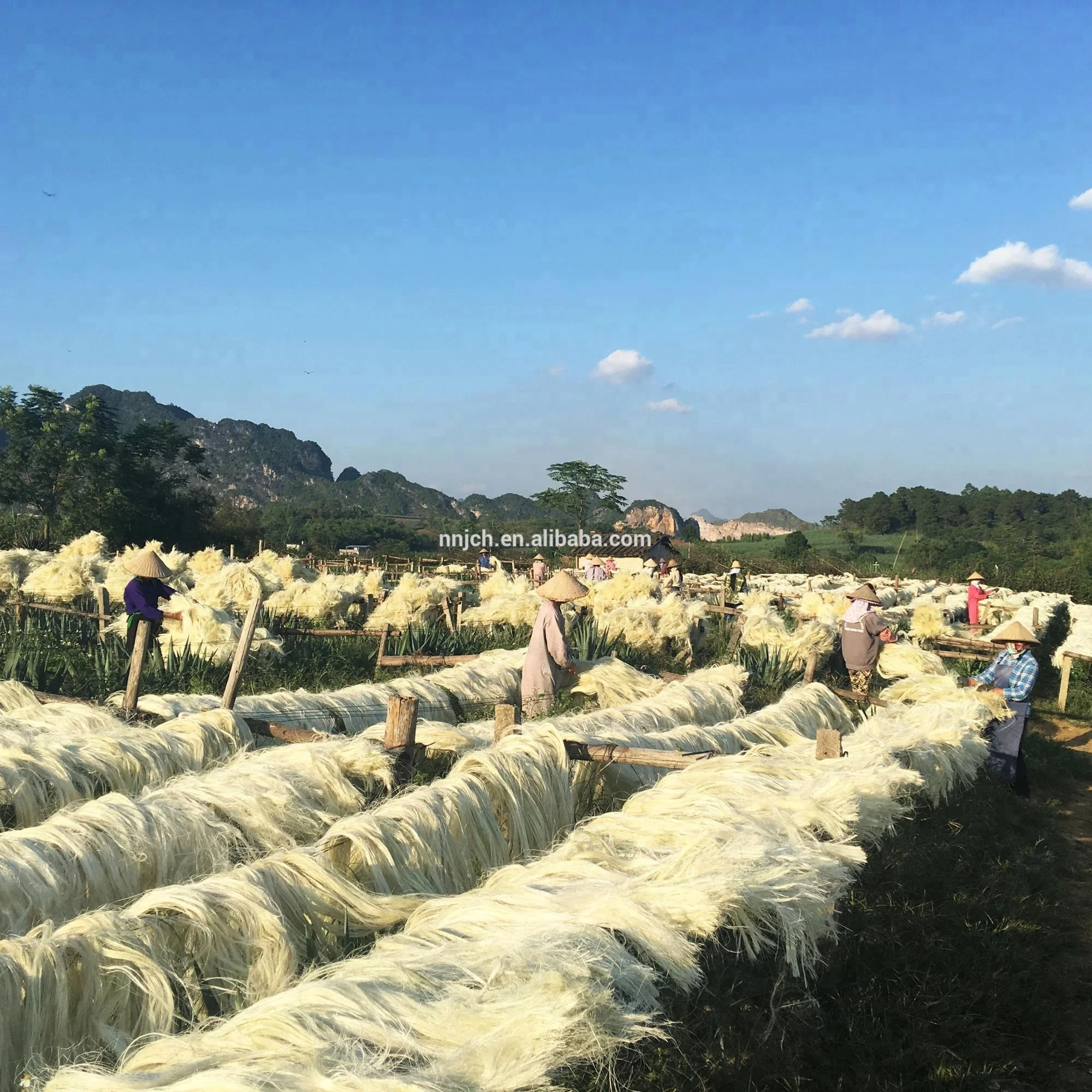 UG Sisal Fiber Used for Sisal Products or Gypsum Board