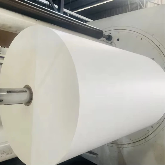 Silicone Coated PE Plastic Release Paper Water Cup and Air Fryer Plate with Glassine Coating for Coffee and Beer Serving