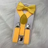 Dorado 10