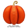 Zucca 1