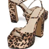leopard