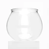 Transparent