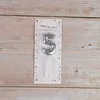 Silver number 5