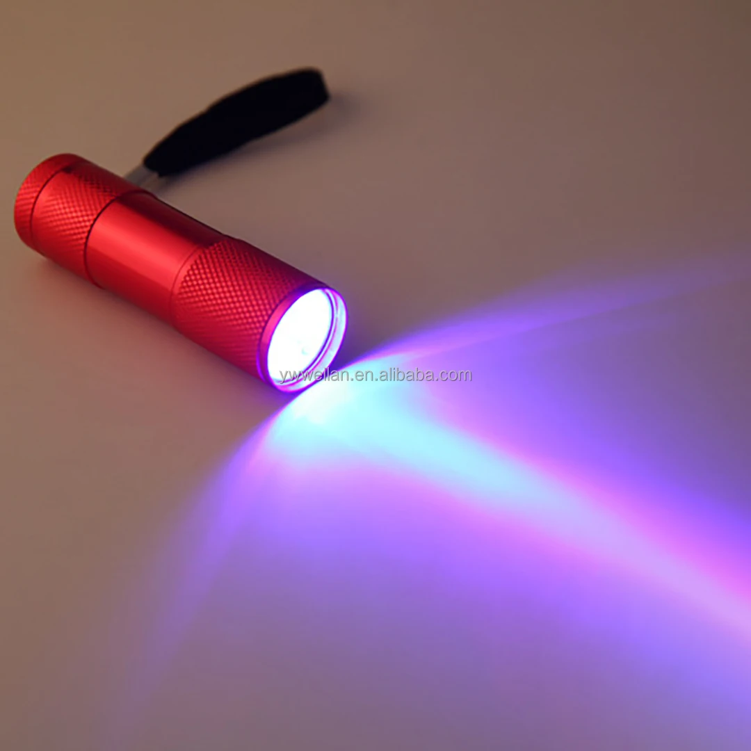 light on.jpg