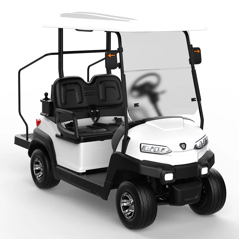 Eec Approved 2 Seater Electric Golf Car For Tourist Electric Golf Cart