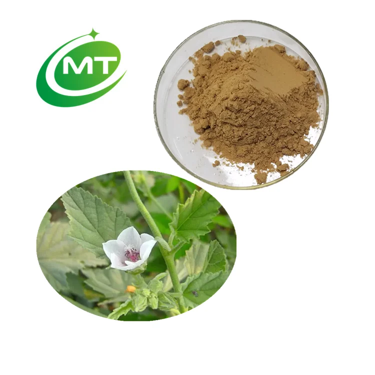 Organic Malva Sylvestris Malva Verticillata Extract Mallow Flower