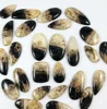 Brown and Black,Sold by Weight(grams), 12 to 14pcs per 100g