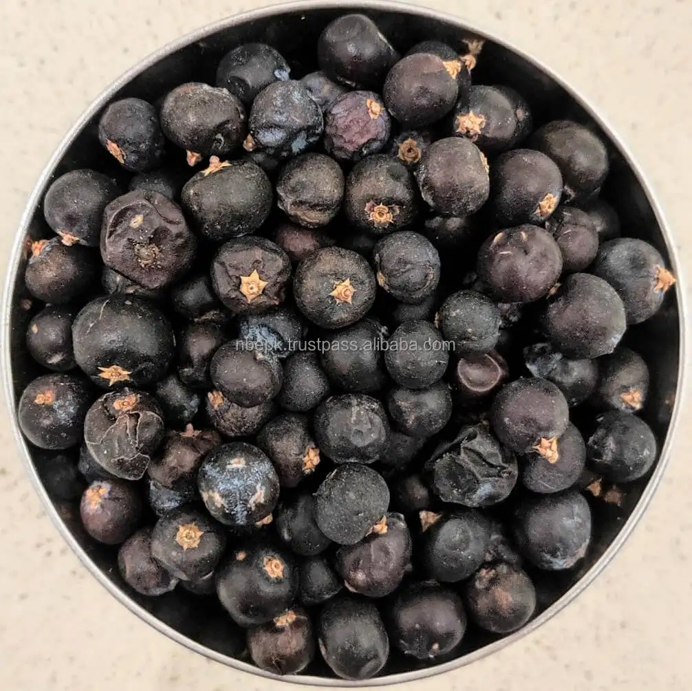 Juniper Berries Oil Possesses Antibacterial And Antifungal Properties