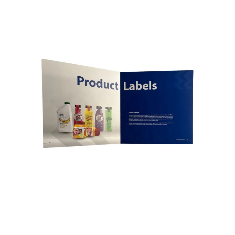 Custom Catalogue Printing Company for Instruction Manual Catalogue Booklet Pharmaceutical Brochure Using Offset Cardboard