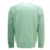 same as picture( Mint Green)