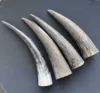same as image