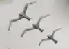 as shown