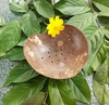 Natural color